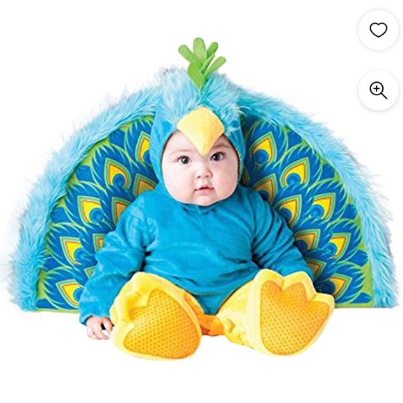 Other - Baby peacock costume 24-30 months